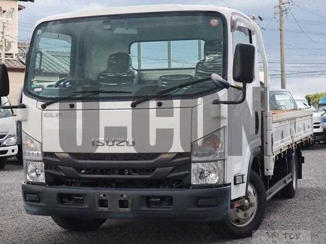 2019 Isuzu Elf Truck