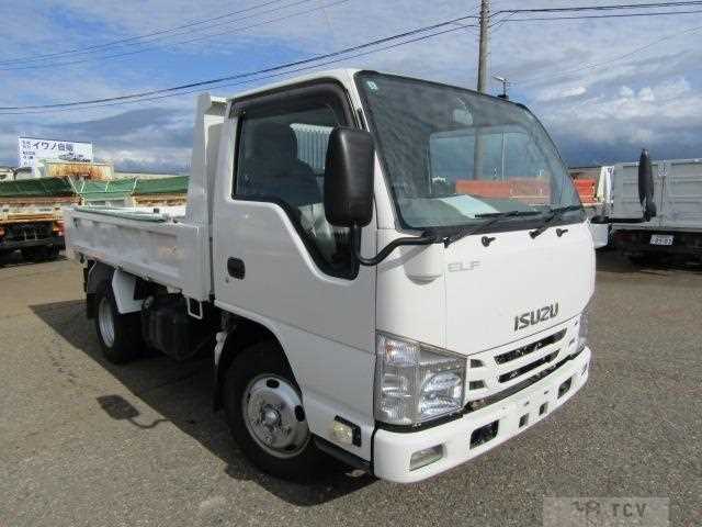 2019 Isuzu Elf Truck