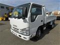 2019 Isuzu Elf Truck