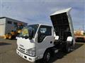 2019 Isuzu Elf Truck