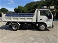 2016 Isuzu Elf Truck
