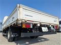 2019 Isuzu Elf Truck