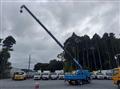 2001 Isuzu Elf Truck