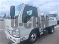 2019 Isuzu Elf Truck