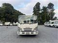 2019 Isuzu Elf Truck