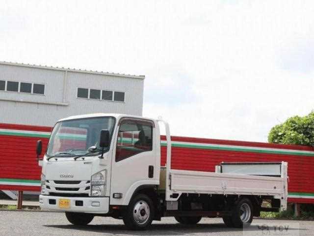 2019 Isuzu Elf Truck