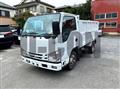 2020 Isuzu Elf Truck