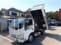 2019 Isuzu Elf Truck