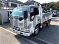 2019 Isuzu Elf Truck