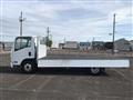2008 Isuzu Elf Truck