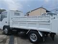 2020 Isuzu Elf Truck