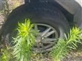 2010 Suzuki Every