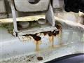 2007 Honda Odyssey