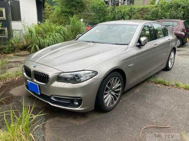 2015 BMW 5 Series