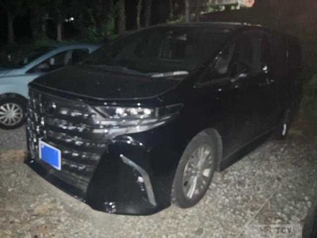 2024 Toyota Alphard G