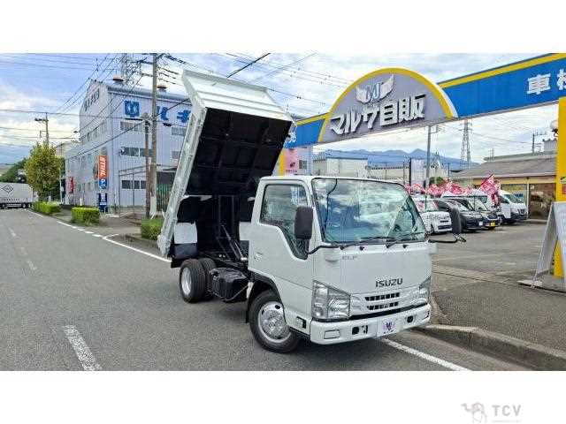 2019 Isuzu Elf Truck