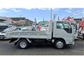 2019 Isuzu Elf Truck