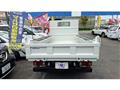 2019 Isuzu Elf Truck