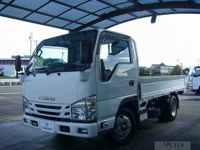 2020 Isuzu Elf Truck