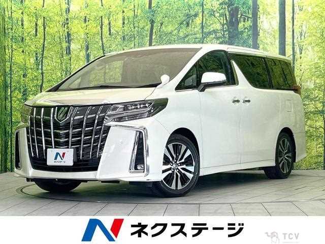 2019 Toyota Alphard G