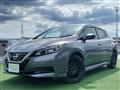 2019 Nissan Leaf