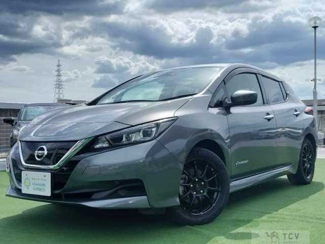 2019 Nissan Leaf
