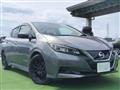 2019 Nissan Leaf