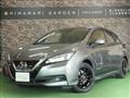 2019 Nissan Leaf