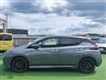 2019 Nissan Leaf