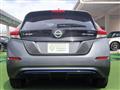2019 Nissan Leaf