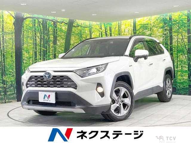 2020 Toyota RAV4
