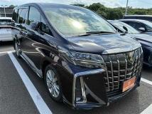 2020 Toyota Alphard G
