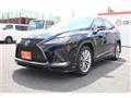 2019 Lexus RX
