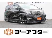 2017 Toyota Alphard G