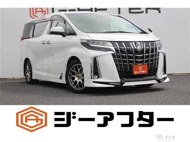 2019 Toyota Alphard G