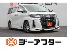 2019 Toyota Alphard G