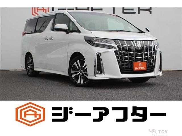 2021 Toyota Alphard G