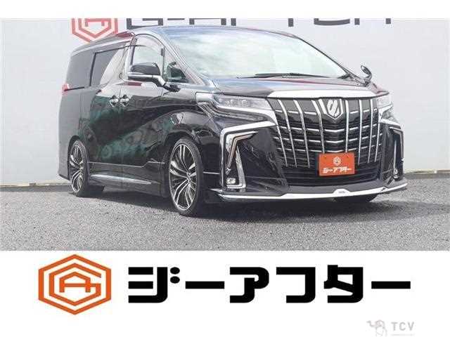 2020 Toyota Alphard G
