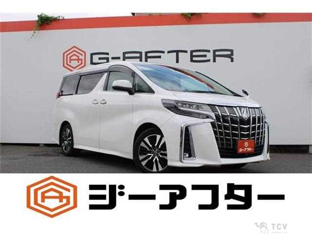 2018 Toyota Alphard G