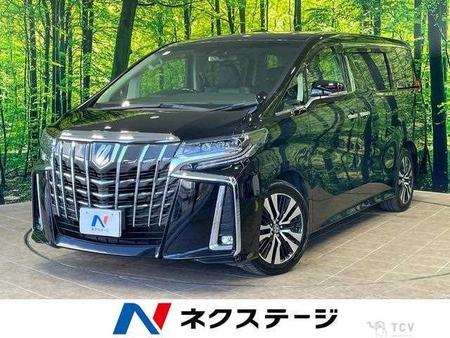 2019 Toyota Alphard G