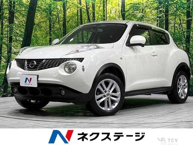 2010 Nissan Juke