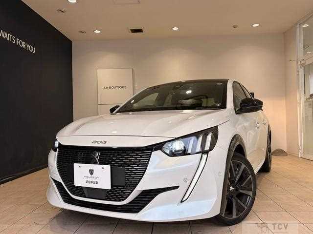 2022 Peugeot Peugoet Others