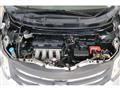 2009 Honda Freed
