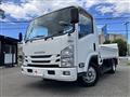 2019 Isuzu Elf Truck