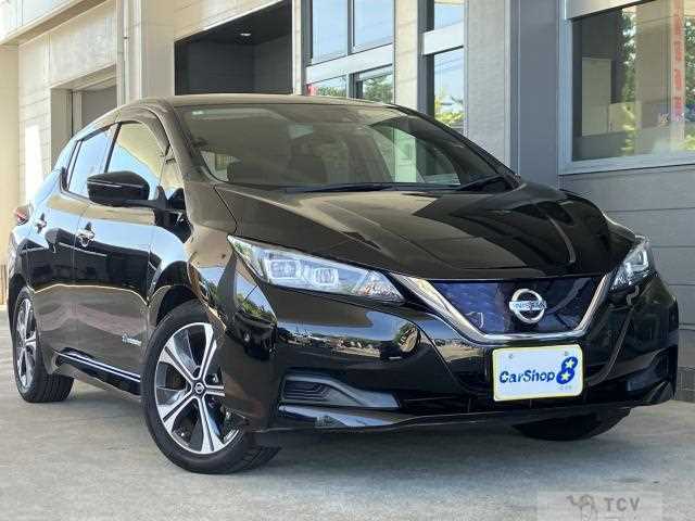2018 Nissan Leaf