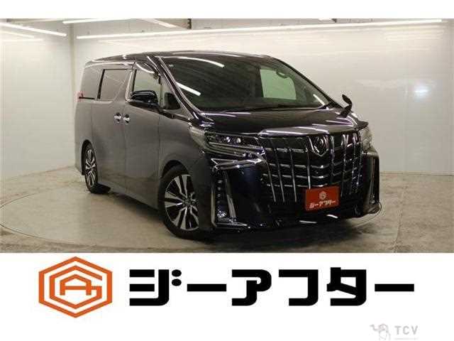 2020 Toyota Alphard G