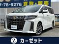 2021 Toyota Alphard G