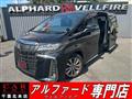 2021 Toyota Alphard G