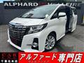 2017 Toyota Alphard G