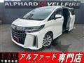 2020 Toyota Alphard G